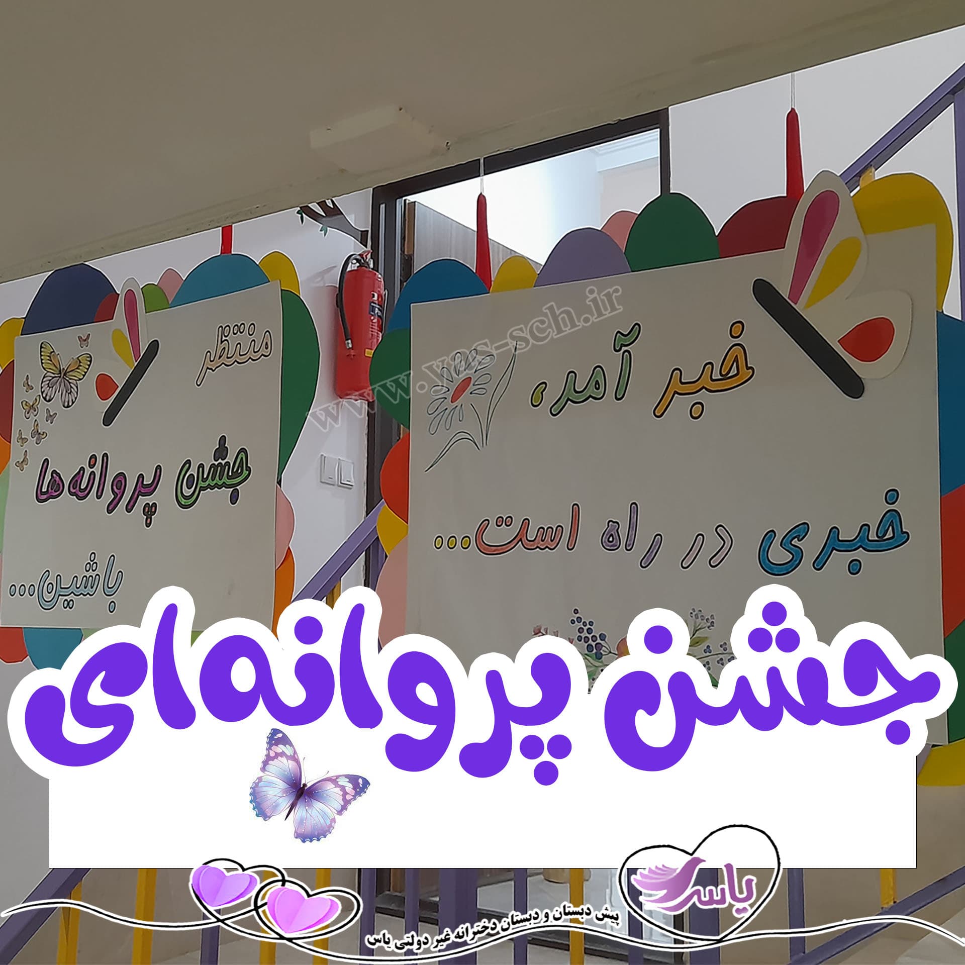 جشن پروانه ها