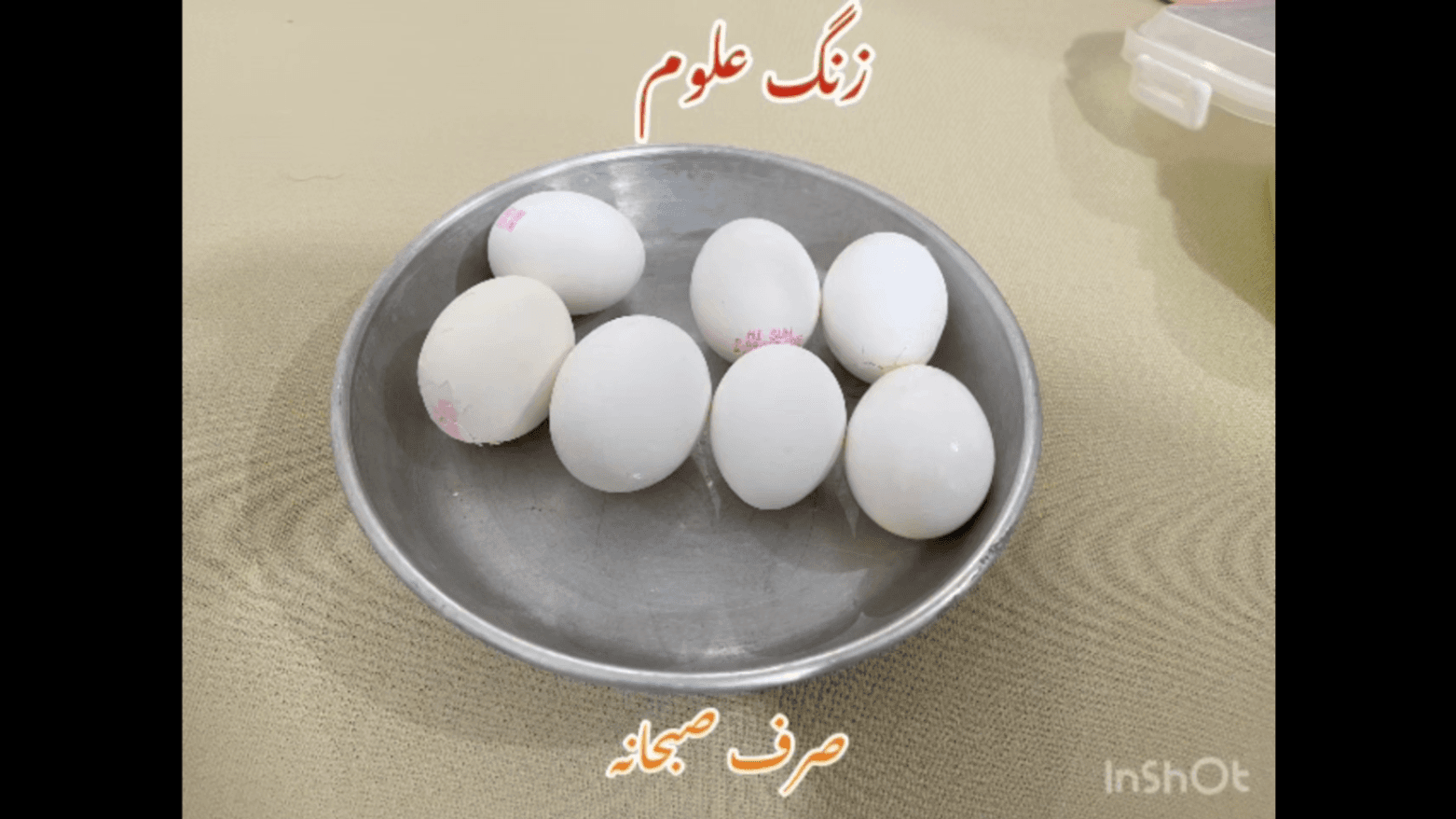 روز جهانی تخم مرغ